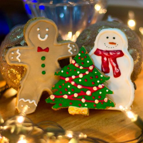 Holidayz at the Park