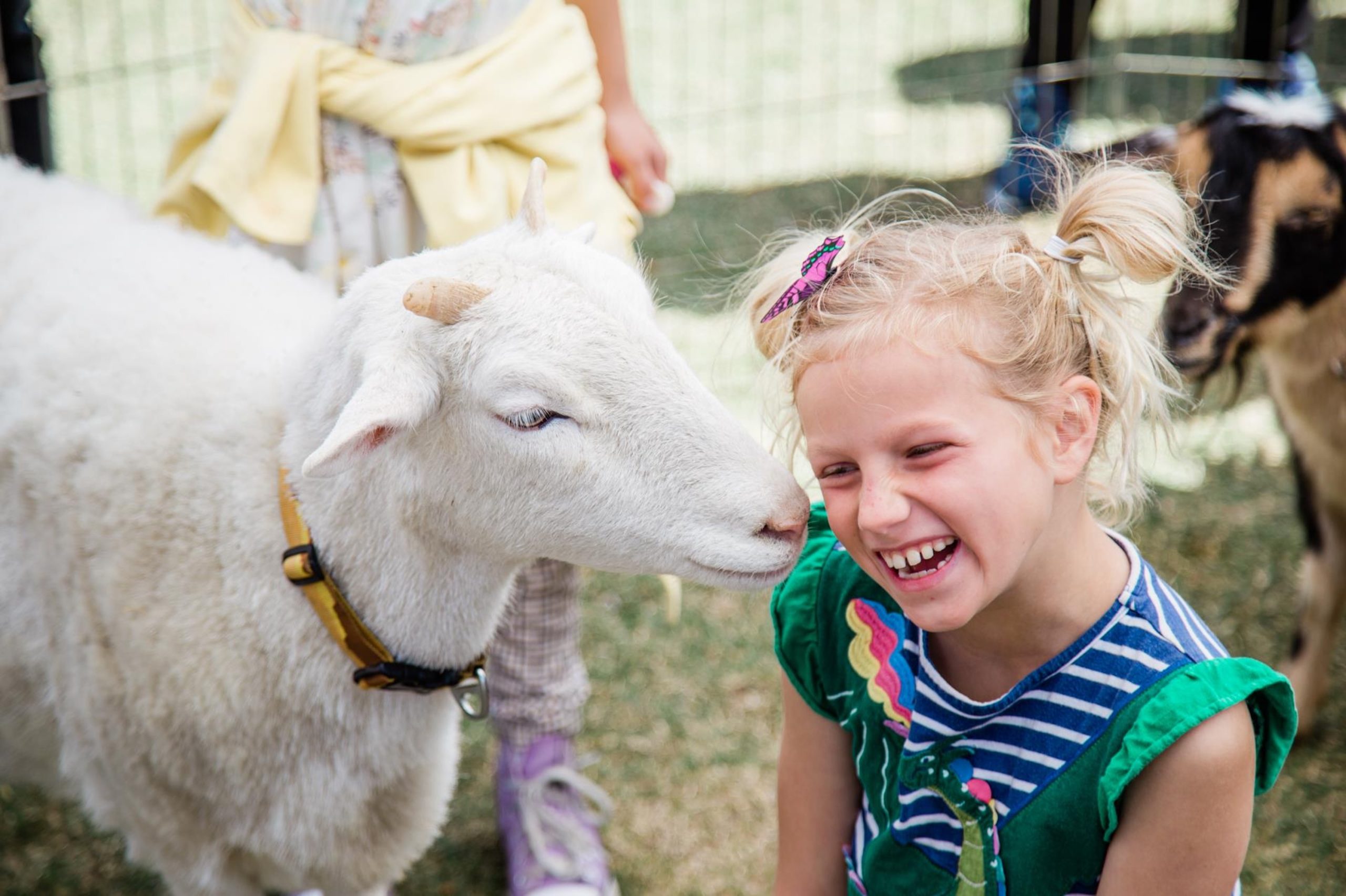 SpringFest — A Pirate Adventure